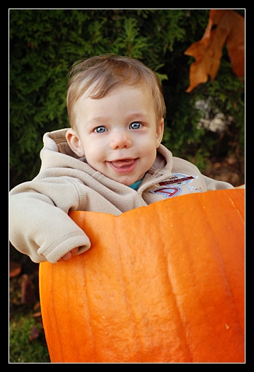 In a pumpkin